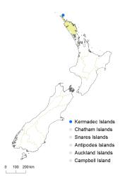 Macrothelypteris torresiana distribution map based on databased records at AK, CHR and WELT. 
 Image: K. Boardman © Landcare Research 2015 CC BY 3.0 NZ